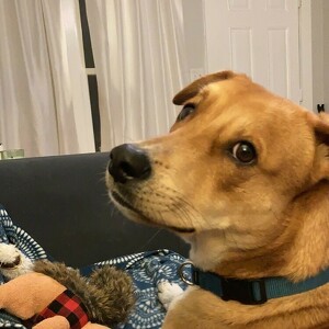 Fundraising Page: Erin Wilson